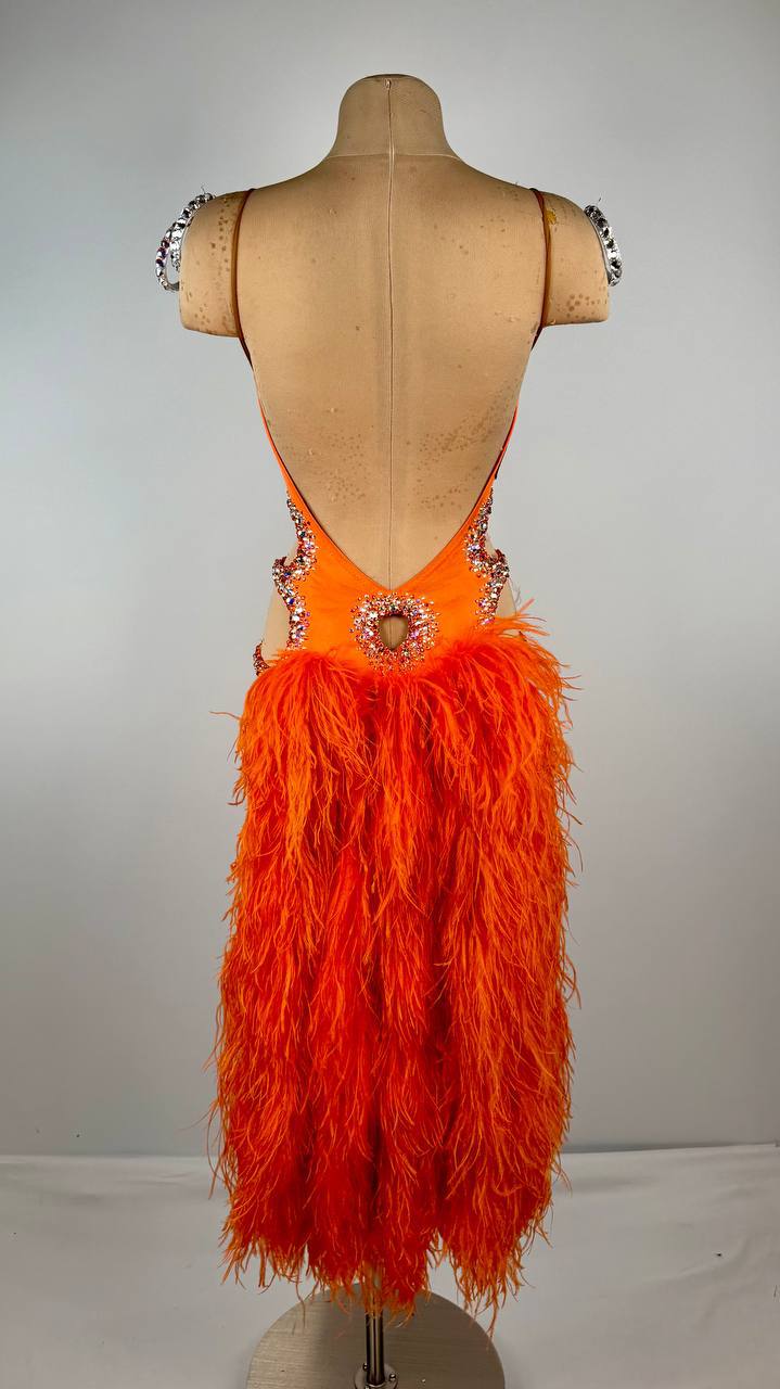 Brazilian Samba