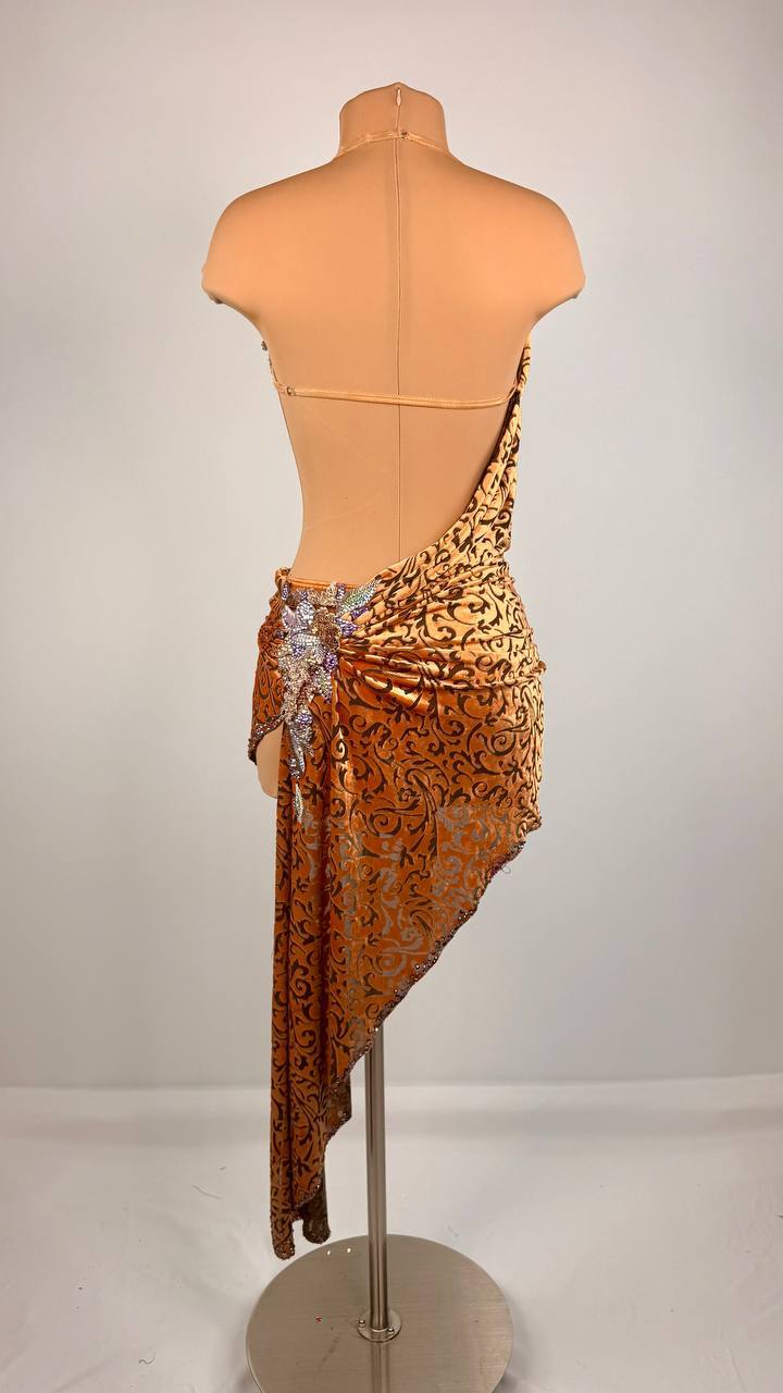 Amber Tiger