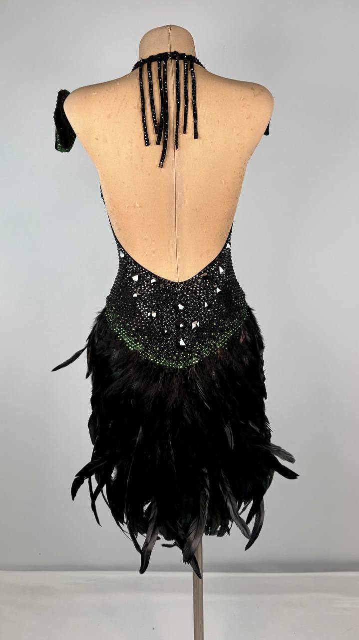 Latin Feather